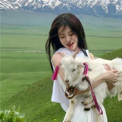 柏灵顿:熊熊去秘鲁